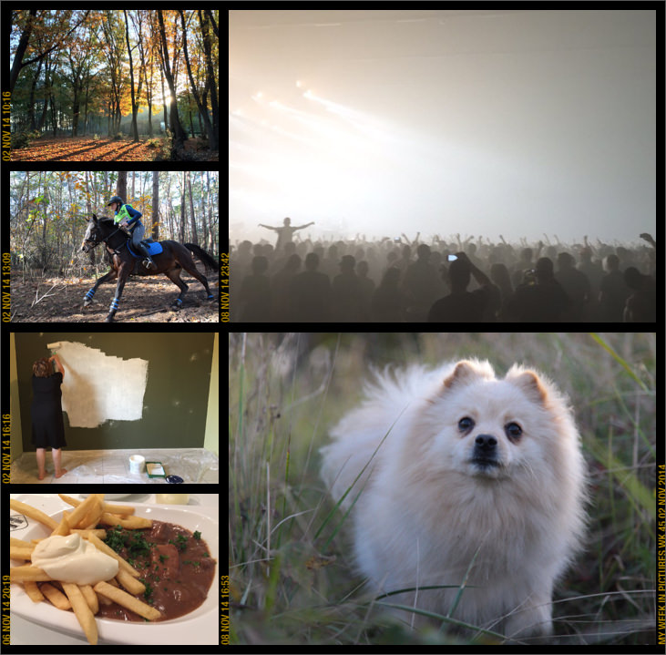 My week in pictures 02 Nov 2014 #weekinpix