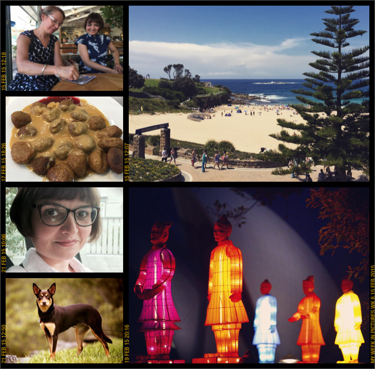 My week in pictures 15 Feb 2015 #weekinpix