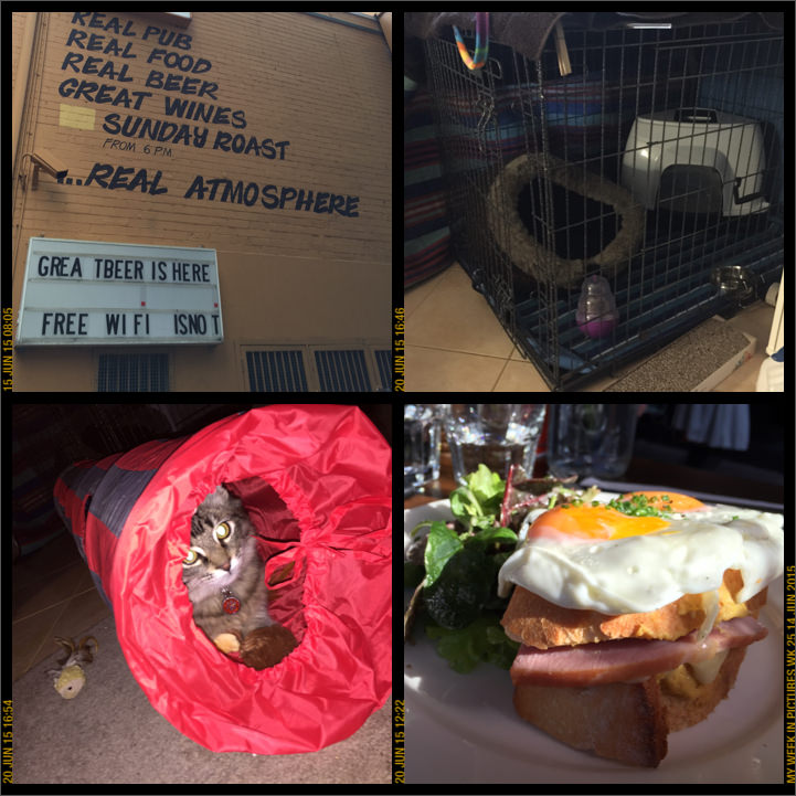 My week in pictures 14 Jun 2015 #weekinpix