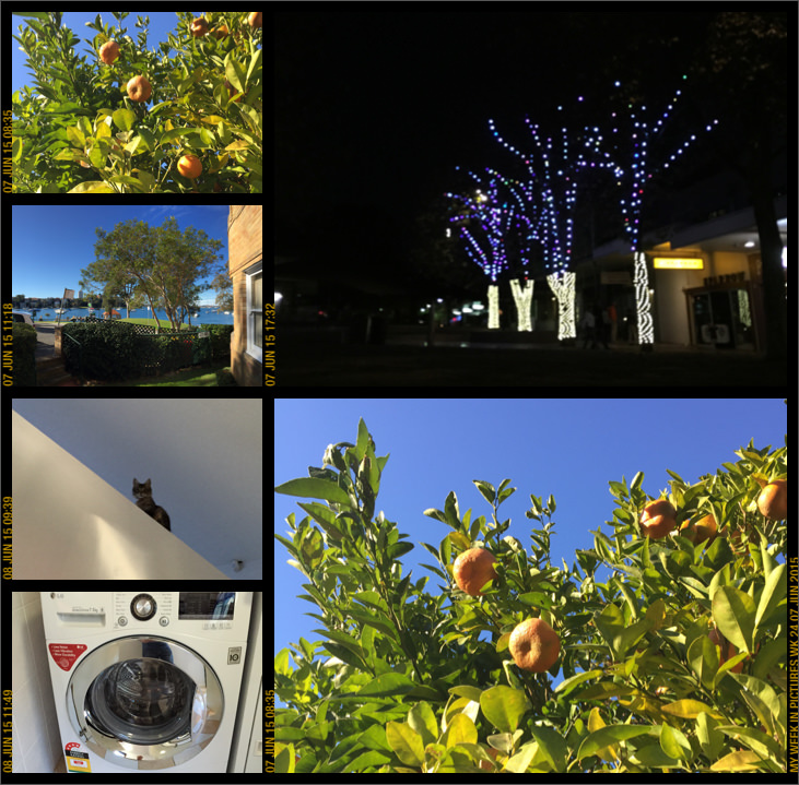 My week in pictures 07 Jun 2015 #weekinpix