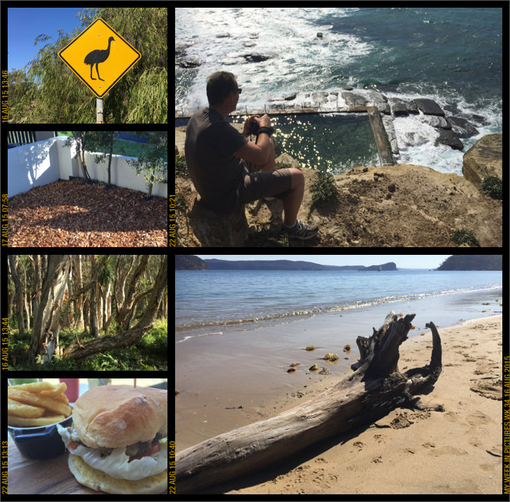 My week in pictures 16 Aug 2015 #weekinpix