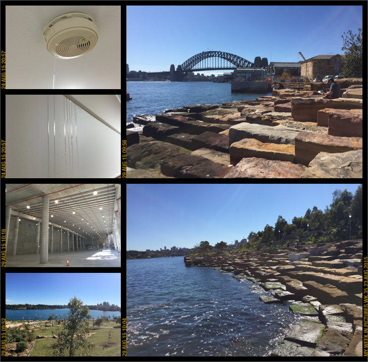 My week in pictures 23 Aug 2015 #weekinpix