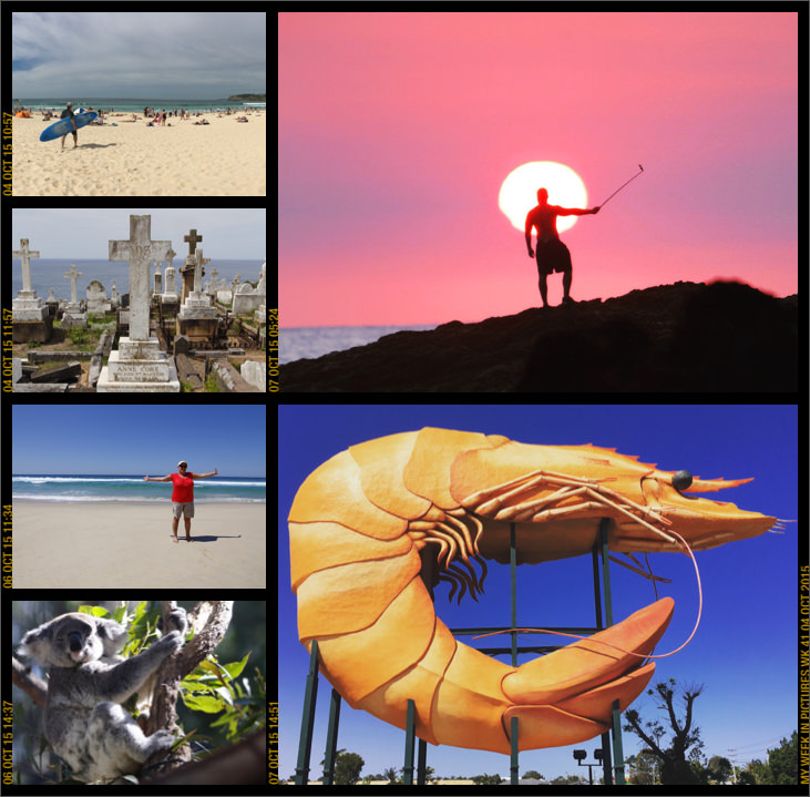 My week in pictures 04 Oct 2015 #weekinpix