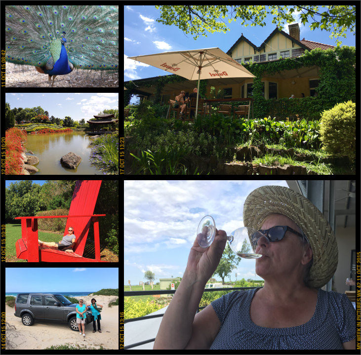 My week in pictures 11 Oct 2015 #weekinpix