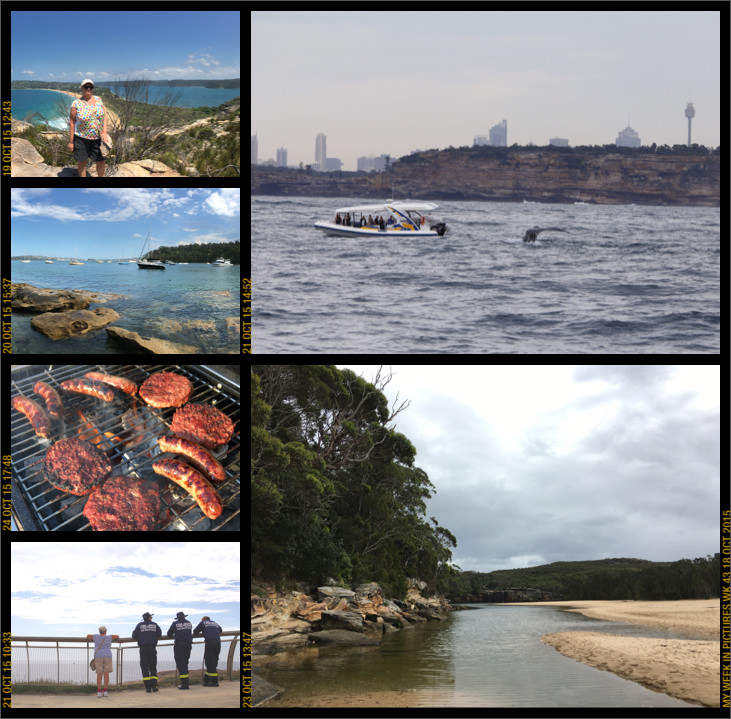 My week in pictures 18 Oct 2015 #weekinpix