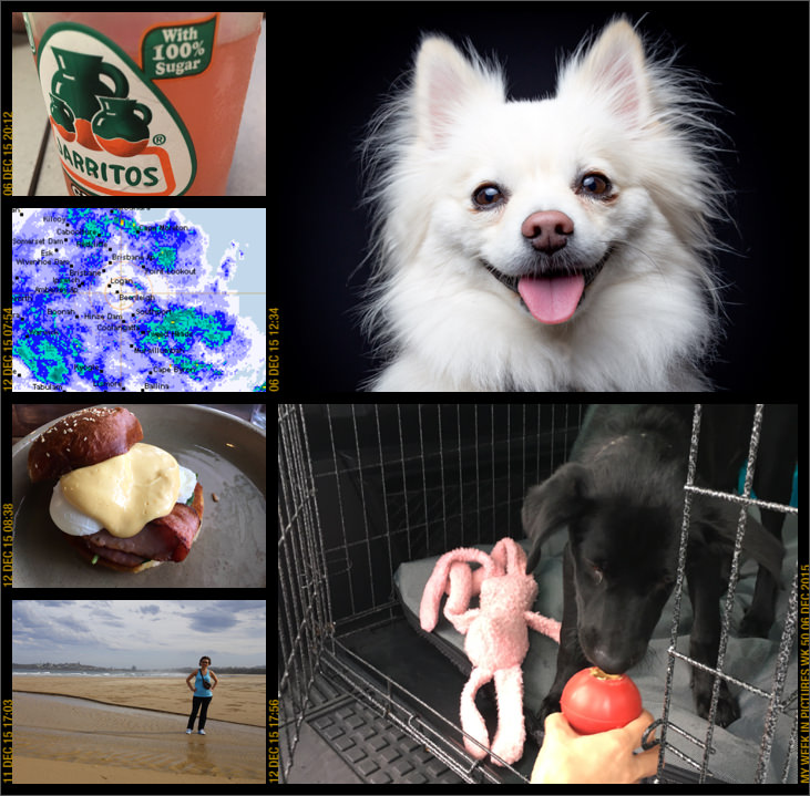 My week in pictures 06 Dec 2015 #weekinpix